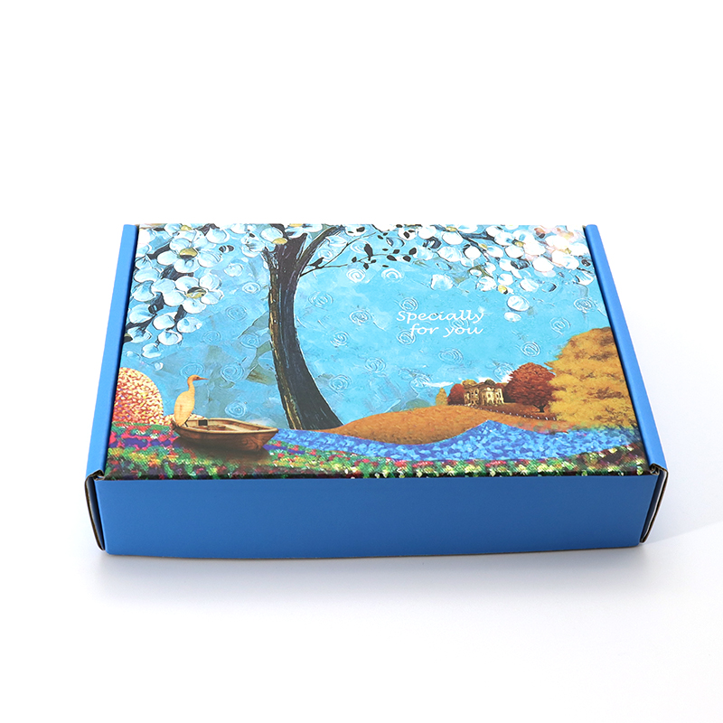Packaging della scarpa di sottoscrizione di Tuck Stampa di carta ondulata colorata Carta ondulata BLU BLU di logo personalizzato BOX
